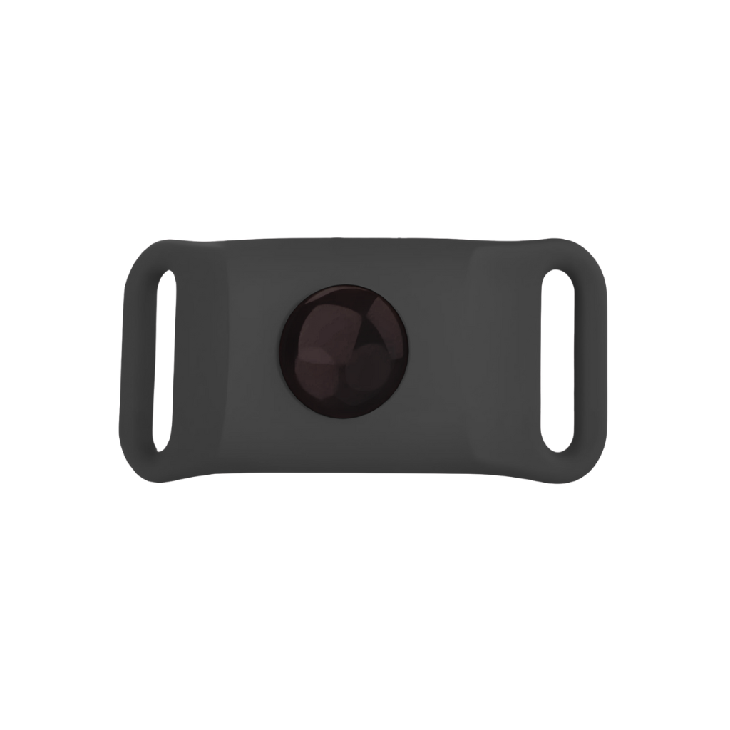 תג פטלי נגד פרעושים לכלבים