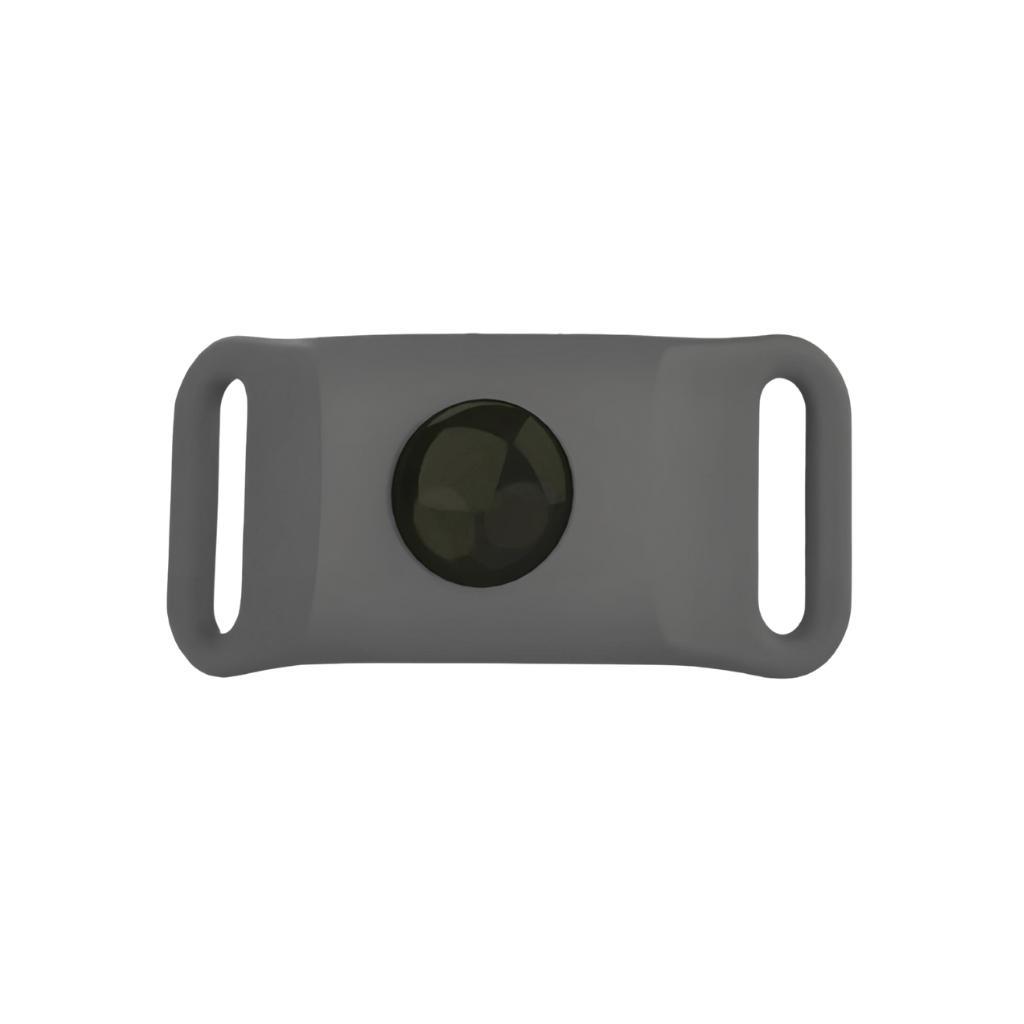 תג פטלי נגד פרעושים לכלבים