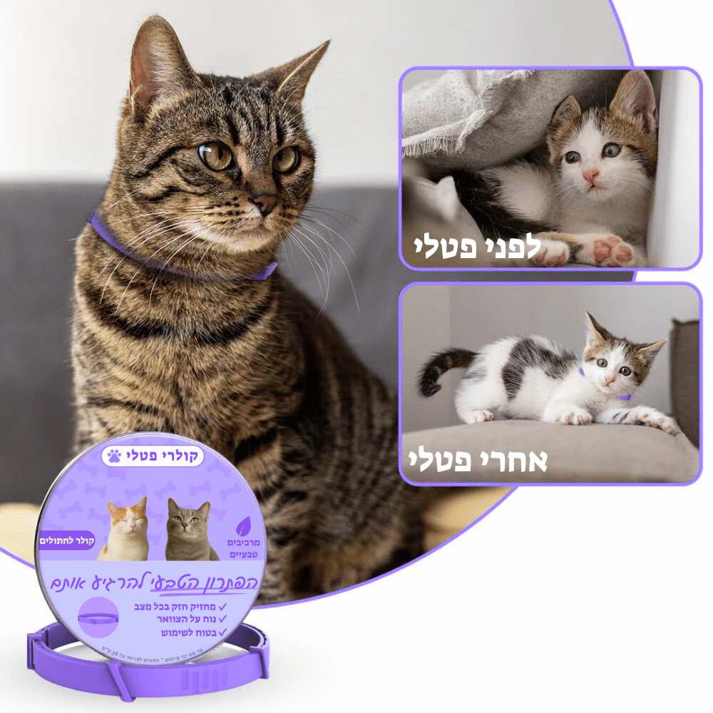 קולר הרגעה פרומוני לחתולים